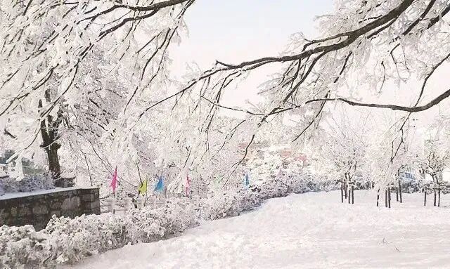 庐山旅游攻略&避坑指南，一起玩转庐山