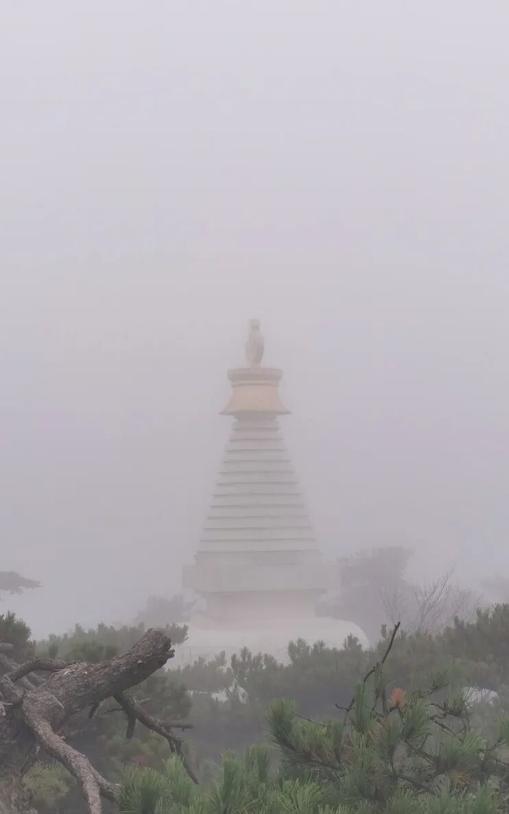 庐山旅游攻略&避坑指南，一起玩转庐山