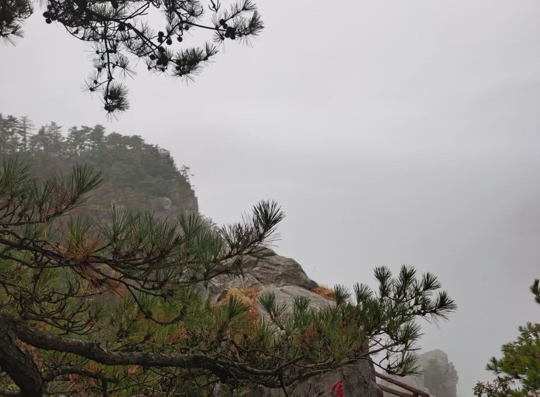 庐山旅游攻略&避坑指南，一起玩转庐山