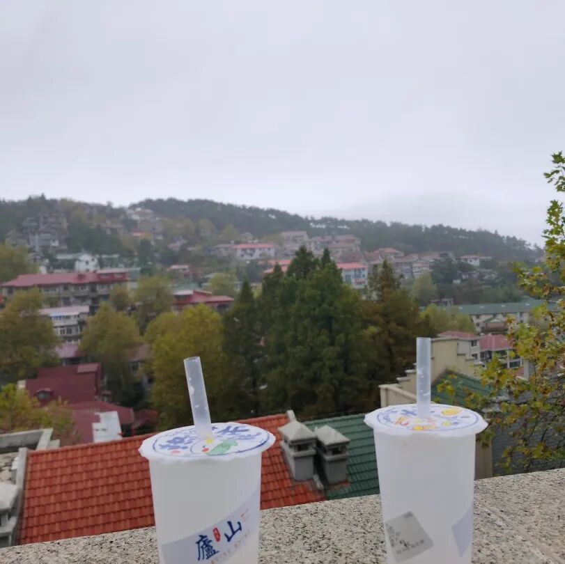 庐山旅游攻略&避坑指南，一起玩转庐山