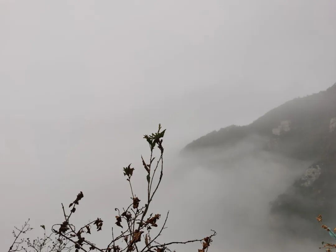 庐山旅游攻略&避坑指南，一起玩转庐山