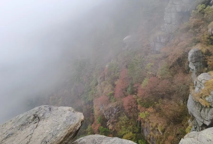 庐山旅游攻略&避坑指南，一起玩转庐山