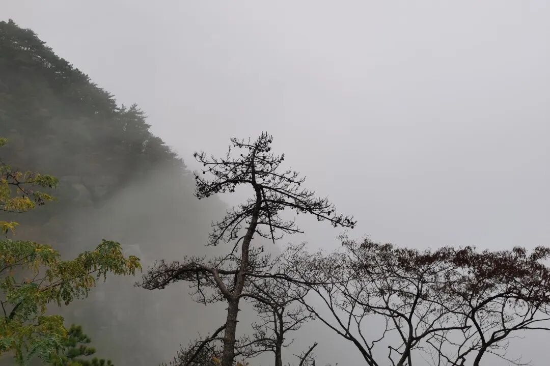 庐山旅游攻略&避坑指南，一起玩转庐山