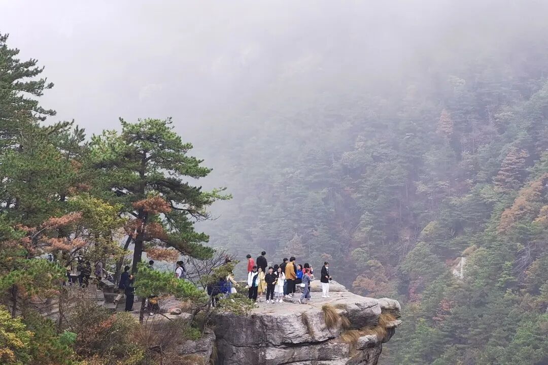 庐山旅游攻略&避坑指南，一起玩转庐山