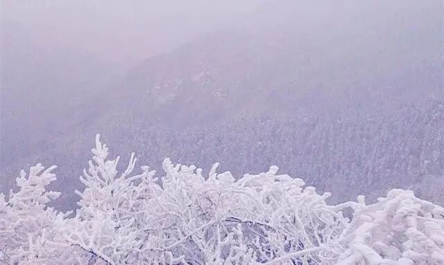 庐山旅游攻略&避坑指南，一起玩转庐山