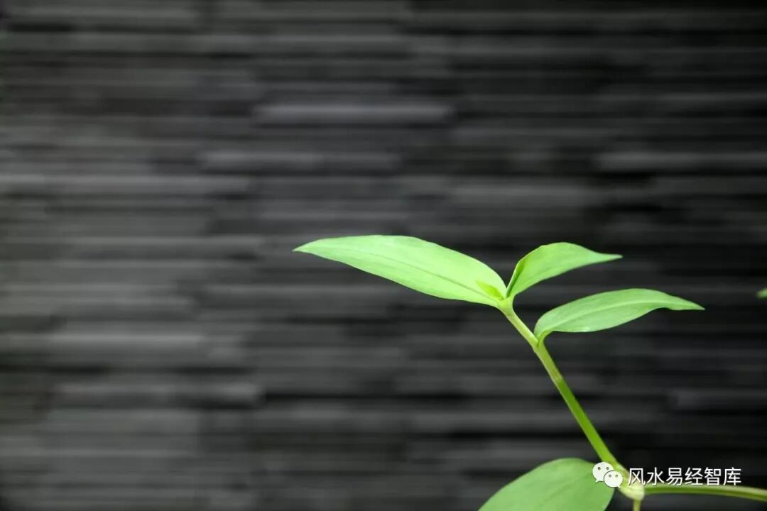 命由天定，运由人改！常见的改运方法有哪些？