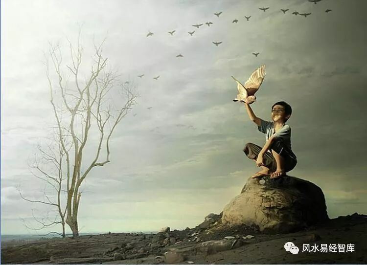 九大吉利的梦境，你做过么？