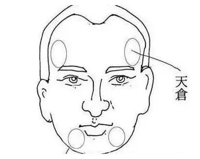 面相上的三个钱仓，看看你是哪种鼻子？