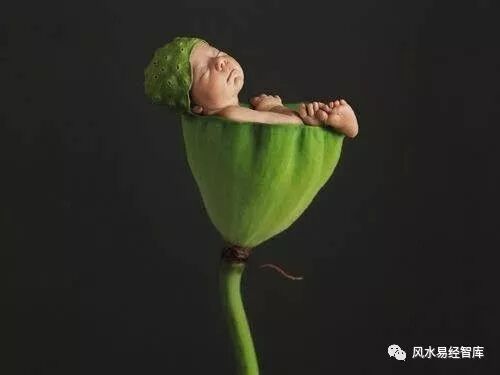 十二生肖宝宝起名宜用的字，一定要记住