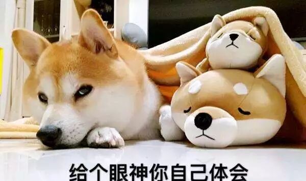 车后面叫什么名字_车后是什么意思_轴距是指什么