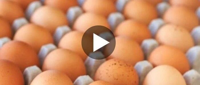 鸡蛋虽好，但最怕和两种东西一起吃！你可真不一定清楚