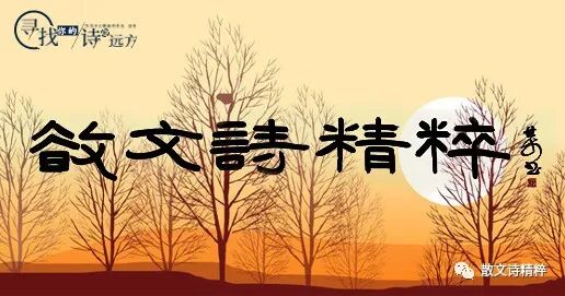 【大咖力作荐读】辽宁陈词：内心的激流原创散文诗精粹散文诗精粹2024-05-0817:00贵州