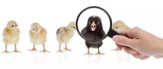 怎样寻找你的客户？