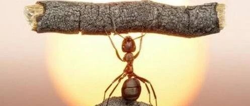 进步的最好方法：接近那些充满正能量的人