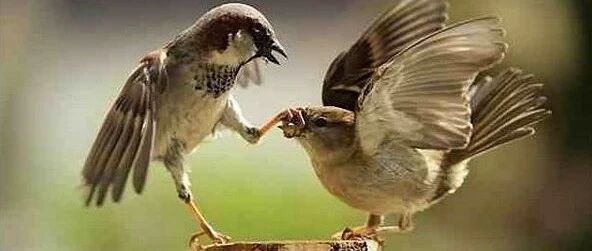 让你学会倾听的四个字——“闭上嘴巴！”