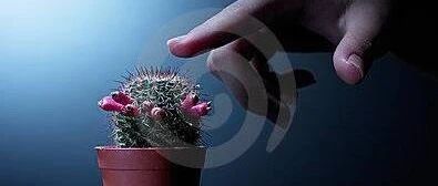 在销售谈判中你需谨慎使用的战术