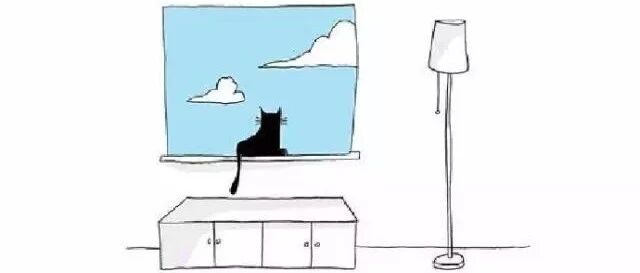 学着接受这个不甚美好的世界