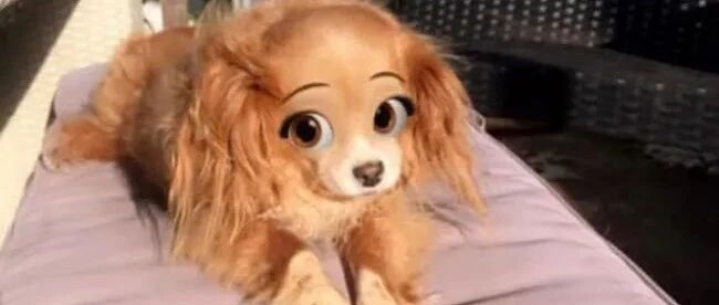 原来你是这样的狗子