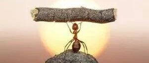 初七 | 生活，有时就像这张图！