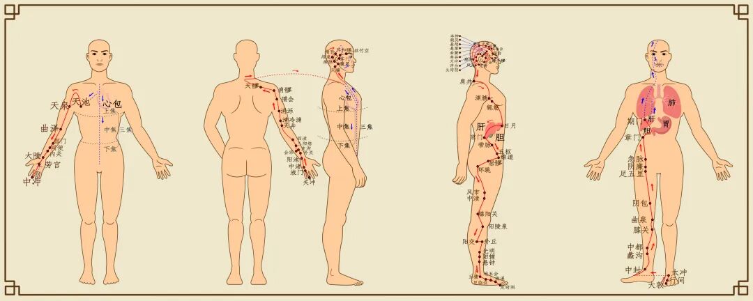 中医经络检测哪些中医也有高科技，全方位了解你自己_https://www.jmylbn.com_新闻资讯_第1张