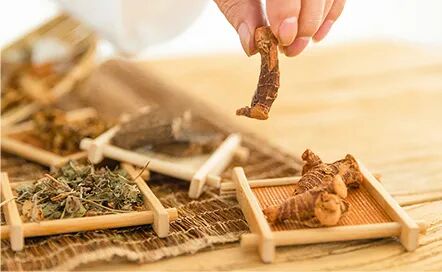 中医经络检测哪些中医也有高科技，全方位了解你自己_https://www.jmylbn.com_新闻资讯_第7张