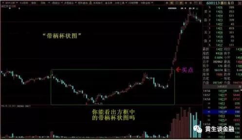 大牛股600113浙江东日(