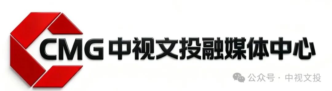 中视文投-LOGO 设计.jpg