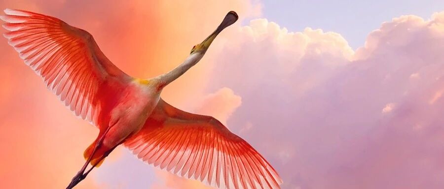 超级引擎启动! 粤港澳大湾区现五大产业投资方向丨赋能大湾区​