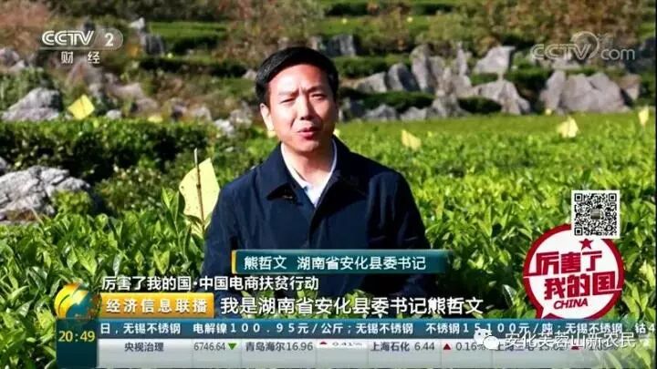 安化县委书记熊哲文亲自上央视为安化黑茶代言！
