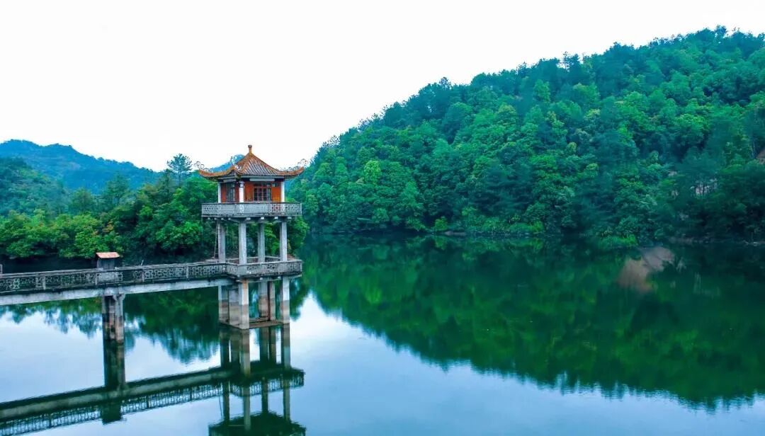 和平县转换生态优势实施文化赋能大力推动康养休闲业发展