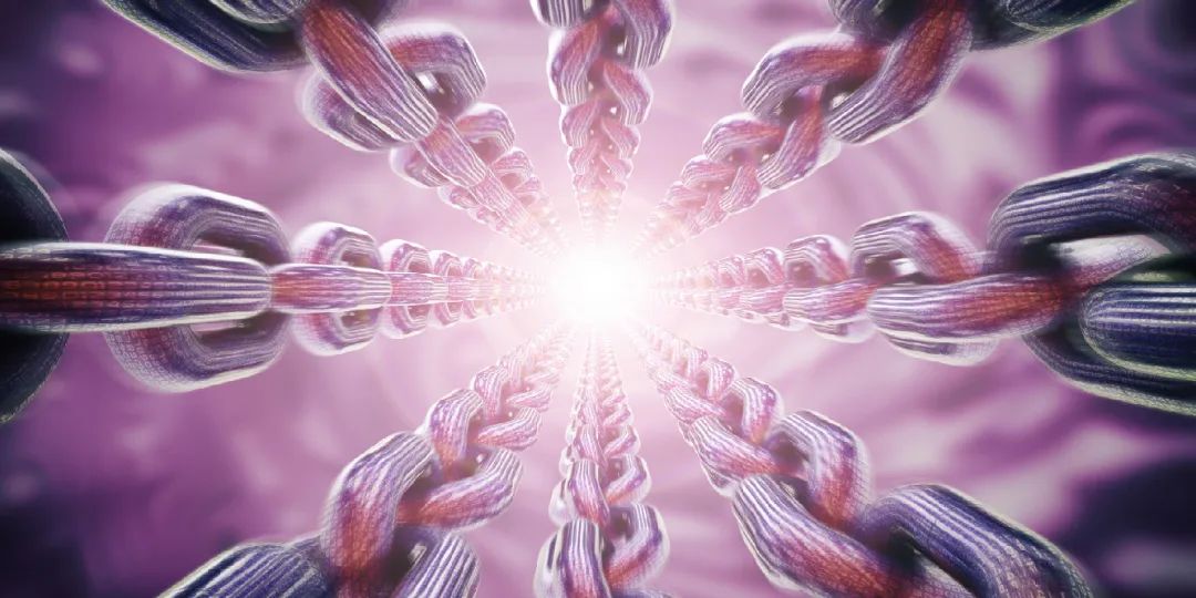 数智链主：重构全球价值链的核心力量