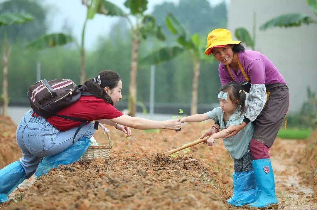 融创春风岭南 | 小镇生活节，让美好犒赏每个热爱生活的人