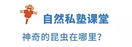 融创春风岭南 | 小镇生活节，让美好犒赏每个热爱生活的人