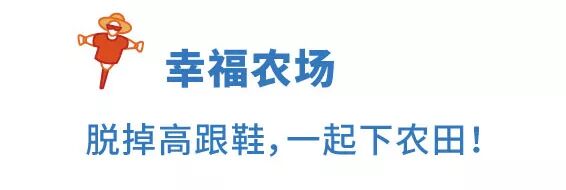 融创春风岭南 | 小镇生活节，让美好犒赏每个热爱生活的人