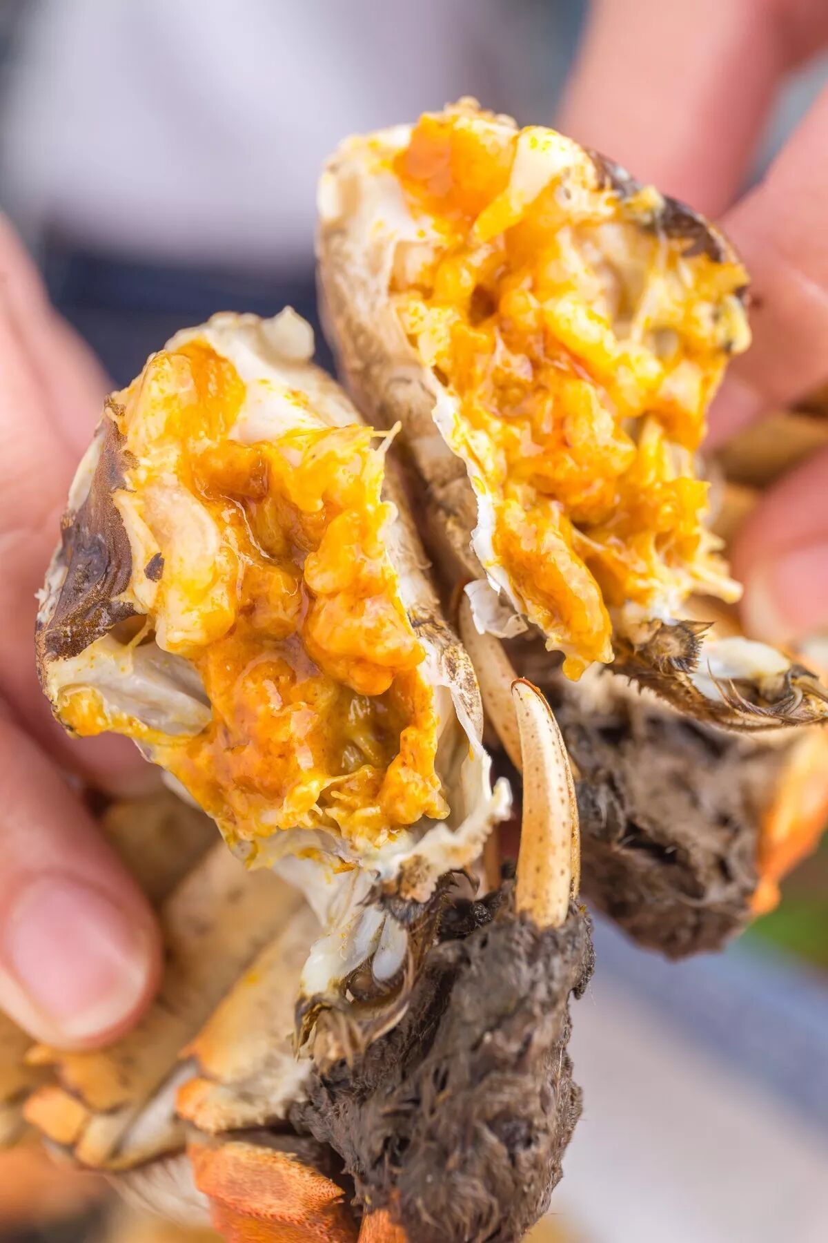 新增公母组合礼盒!膏肥肉多还包邮!畅销省港澳20年!