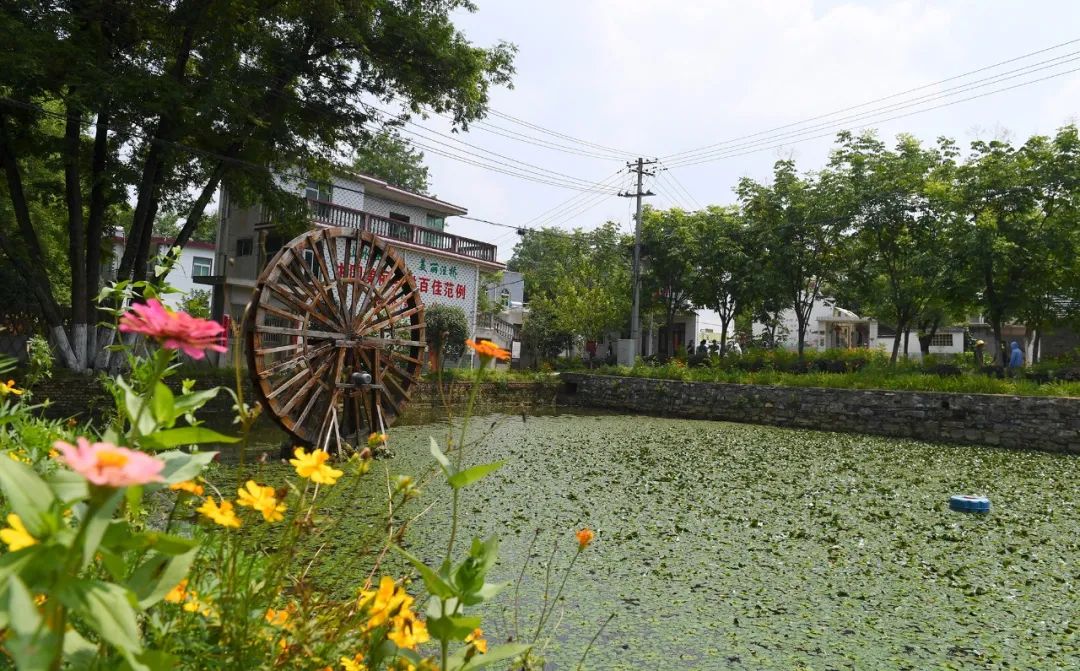 巢湖市柘皋镇汪桥村美成全国范例