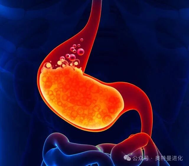 胃药饭前吃还是饭后吃？胃药可以和感冒药一起吃吗？