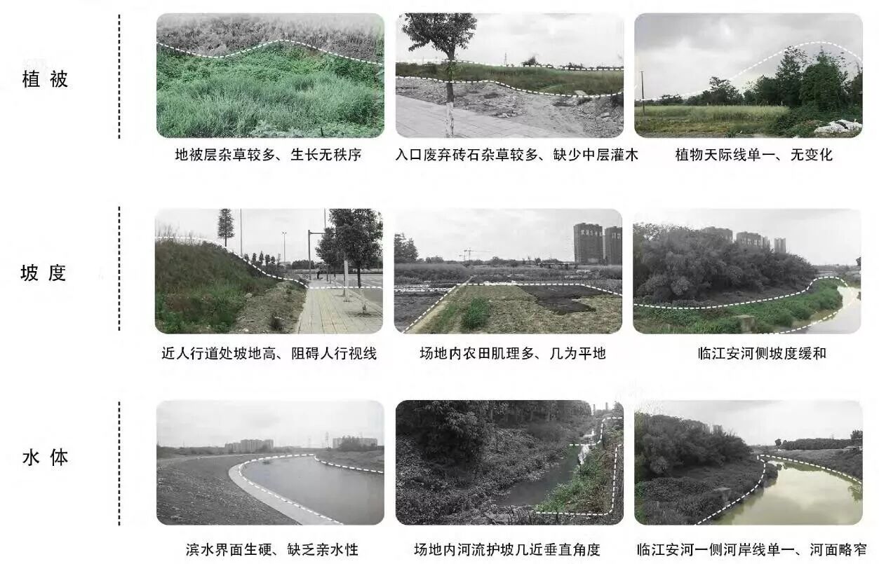 独家！重磅展示你身边的双流三江公园！离你有多远~