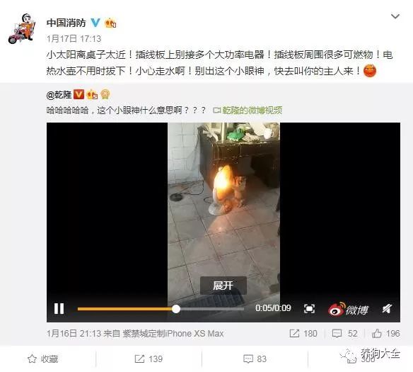 這狗火了，烤個火被中國消防點名，狗：我就想考個jio而已啊 未分類 第2張