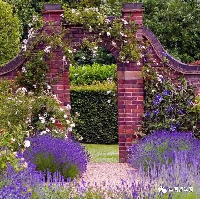 英国伯明翰大学，正因此而爱你！