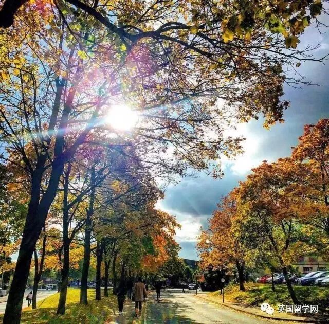 英国伯明翰大学，正因此而爱你！