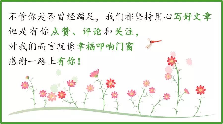 中国卫生人才网发布2019年度卫生专业技术资格考试公告通知！(19年中国卫生人才网成绩查询)