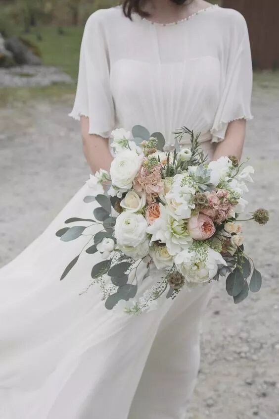 这么好看的尤加利叶，谁不爱？