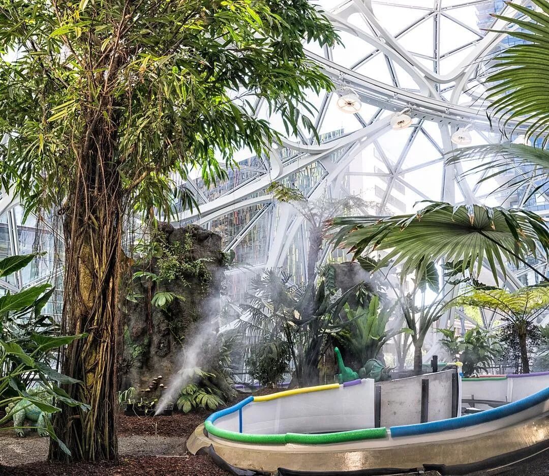 耗时7年 寻遍全球奇花异草 只为3颗魔法水晶球 塔莎的花园 微信公众号文章阅读 Wemp