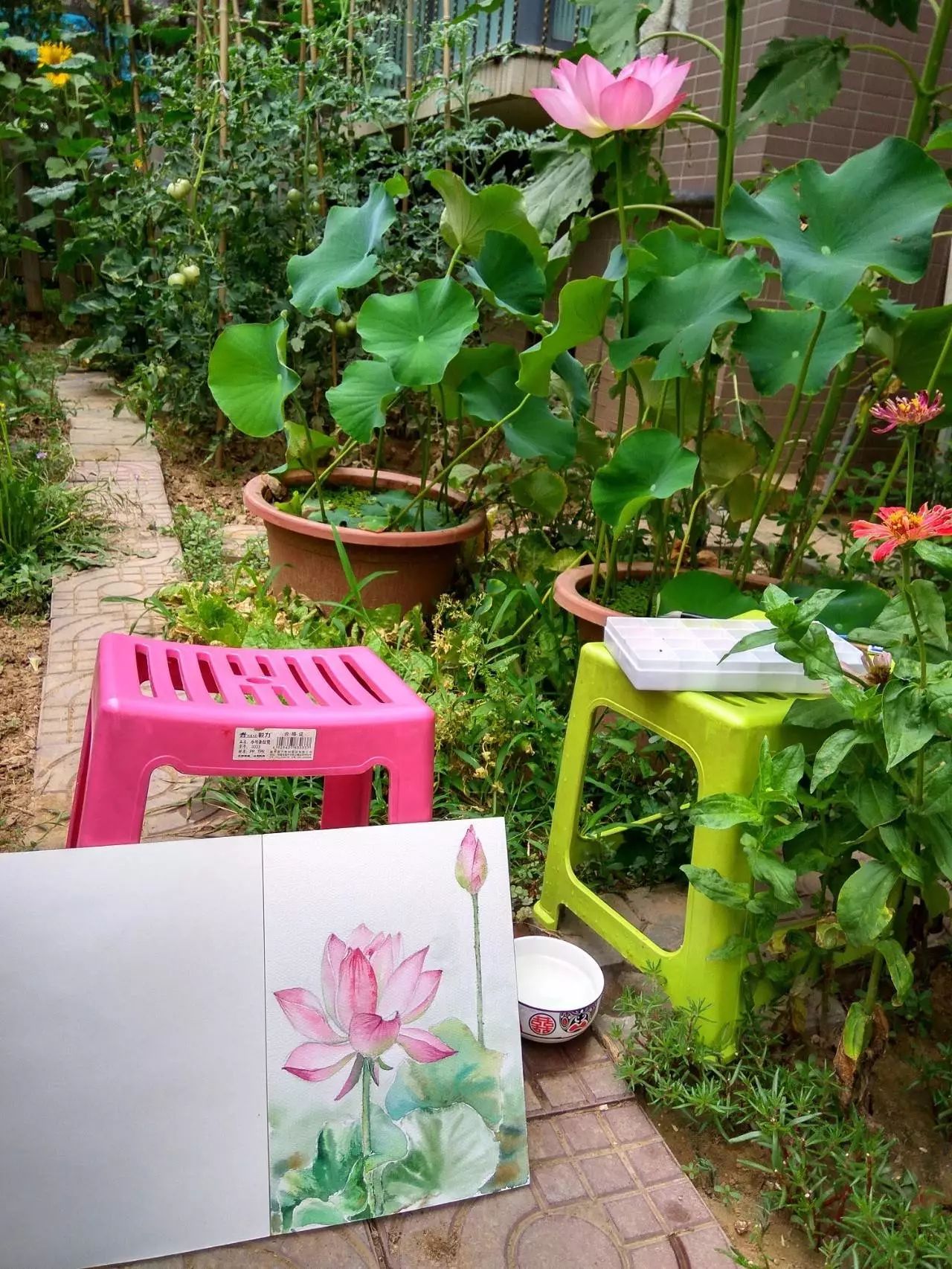 養一座園 喝茶 賞花 畫畫 享受慢時光 花友分享 塔莎園藝 微文庫