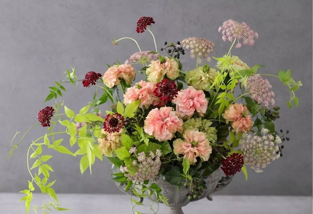 种花园 喝花茶 吟花诗 跟花谈恋爱的方式竟有这么多 塔莎的花园 微信公众号文章阅读 Wemp