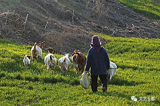 情缠乡村玉米地_情缠乡村玉米地_情缠乡村玉米地