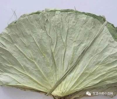 瘦身效果最「牛逼」的4大食物，養顏又瘦身，00後也可以囤著 運動 第3張