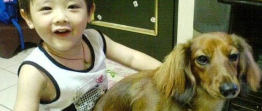 妈妈突然翻到孩子两岁时与狗狗拍的照片，和现在一对比……瞬间泪目！