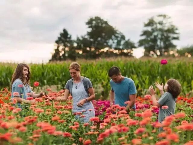 浪群园艺课堂第二课 基质栽培如何满足植物生长需求 图文解说来了 浪群团购 微信公众号文章阅读 Wemp